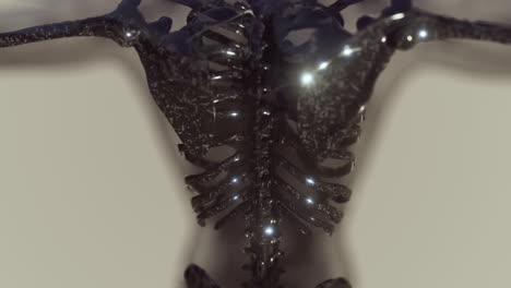 Transparenter-Menschlicher-Körper-Mit-Sichtbaren-Skelettknochen